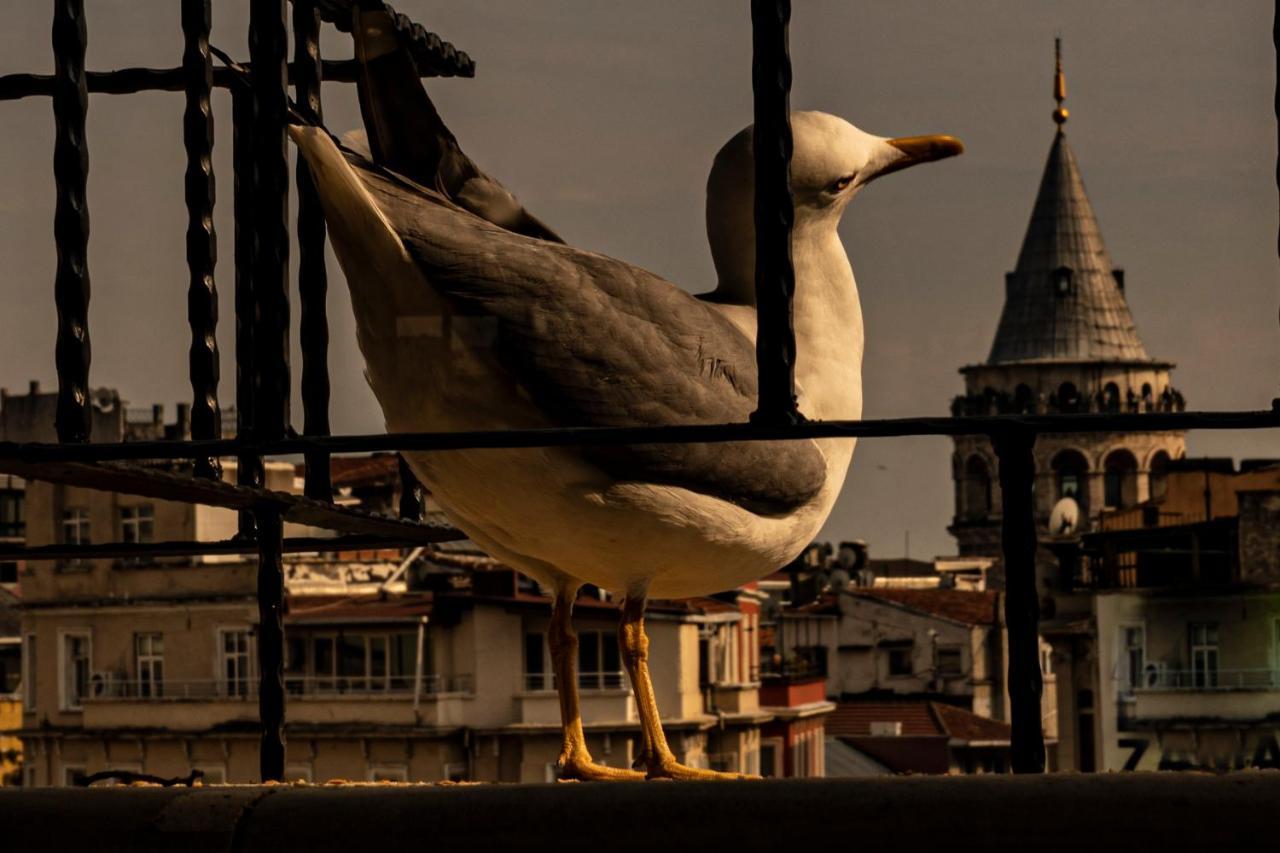 Aparthotel Galata M84 Stambuł Zewnętrze zdjęcie